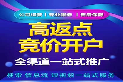 百度竞价广告的投放策略及某行业案例剖析